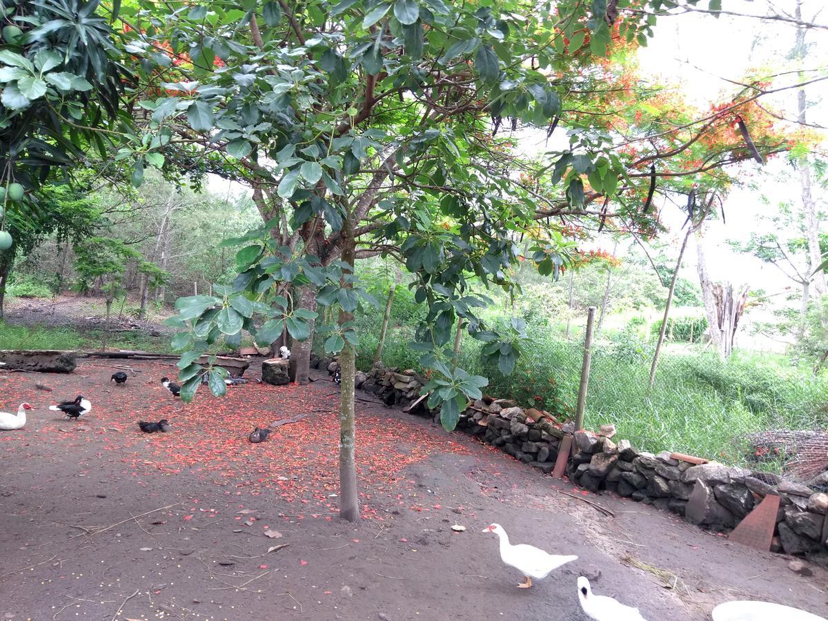 Villa Casa Da Mamae à Barra de São João Extérieur photo